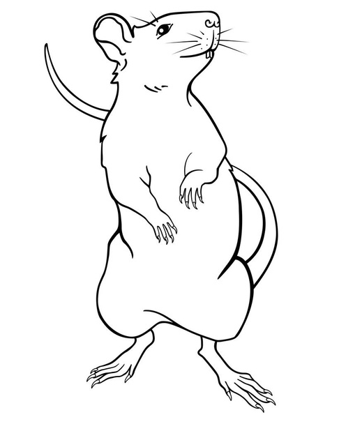 ネズミは2020年の象徴で、後ろ足に立っています。ラットまたはマウス - 着色のための線形ベクトル画像。概要。装飾的なラット - 完璧なペット. - ベクター画像