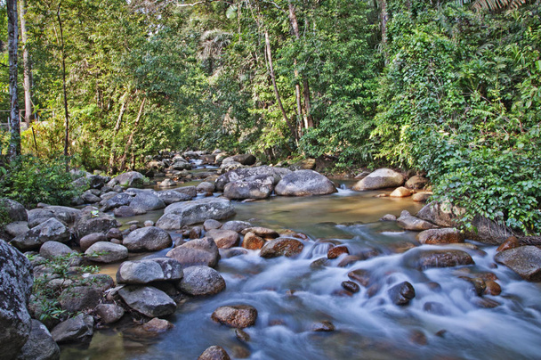 slow shutter speed photography on flowing water stream - Photo, Image