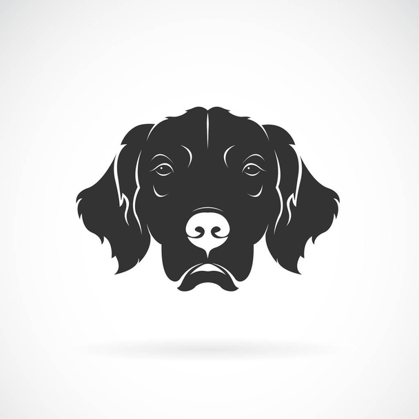 Vector of dog head (Golden Rretriever) on a white background. Pet. - Vector, Image