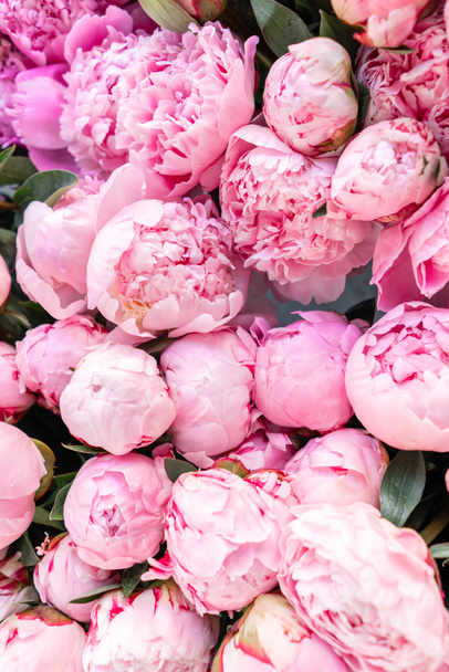 花のカーペットや壁紙。ピンクのピオの背景。部屋の朝の明かり。カタログやオンラインストアのための美しいピオニーの花。花屋・配送コンセプト . - 写真・画像