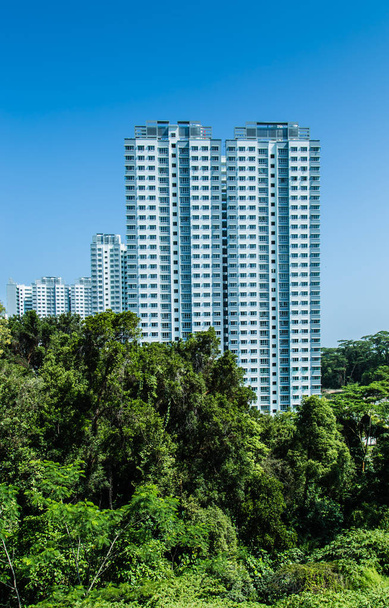 Singapura HDB edifício residencial no horizonte verde da floresta
 - Foto, Imagem