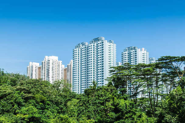 Singapura HDB edifício residencial no horizonte verde da floresta
 - Foto, Imagem