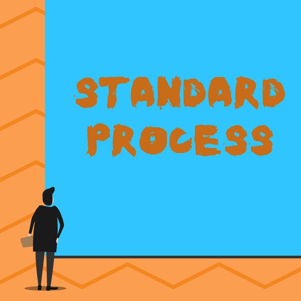 Text sign showing Standard Process. Conceptual photo rules made to be matched with final product quality Man stands in back view in front of huge empty blank big rectangle board. - Photo, Image