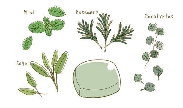 Органическое мыло - различные травы набор
 - Вектор,изображение