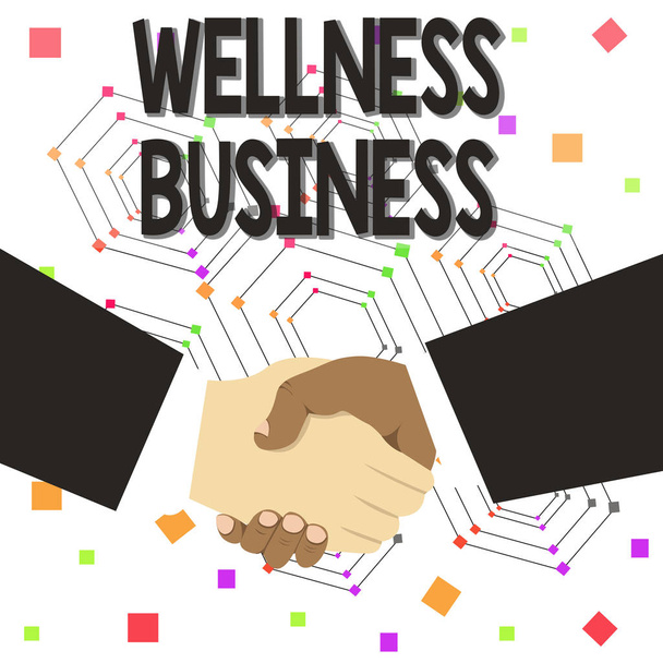 Text sign showing Wellness Business. Conceptual photo Professional venture focusing the health of mind and body Hand Shake Multiracial Male Business Partners Colleagues Formal Black Suits. - Photo, Image