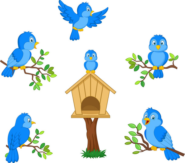 Векторная иллюстрация набора мультфильмов о голубой птице на белом фоне
 - Вектор,изображение
