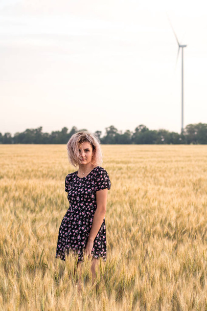 jong gebruind krullend haar vrouw in jurk is blij om op het veld van gerijpte tarwe, zonsondergang tijd - Foto, afbeelding