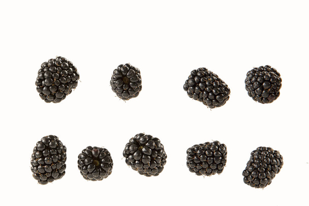 morberry bobule izolované na bílém pozadí chaotickými způsoby . - Fotografie, Obrázek