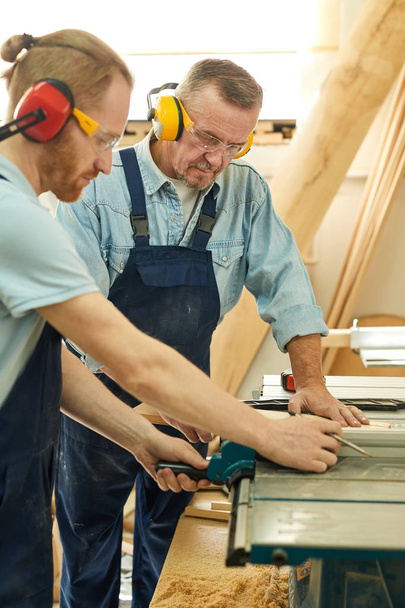 Retrato de vista lateral del carpintero senior trabajando con aprendiz en taller de carpintería
 - Foto, imagen