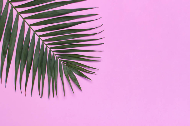Hojas de palma tropical sobre fondo rosa pastel. Piso tendido, vista superior, espacio para copiar. Fondo de verano, naturaleza. Fondo mínimo creativo con hojas tropicales. Patrón de hoja
 - Foto, imagen