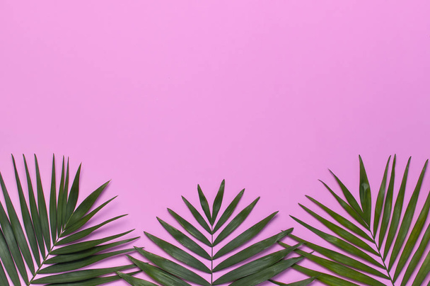 Feuilles de palmier tropicales sur fond rose pastel. Pose plate, vue du dessus, espace de copie. Fond d'été, nature. Fond minimal créatif avec des feuilles tropicales. Modèle de feuille
 - Photo, image