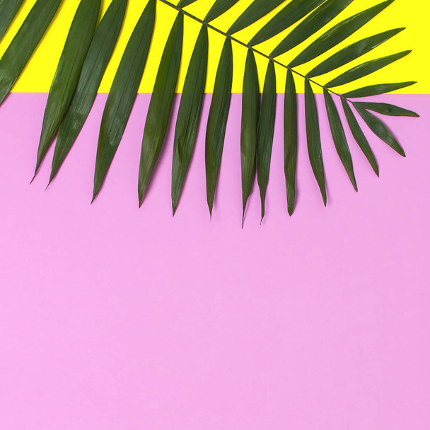 Hojas de palma tropical sobre fondo rosa amarillo brillante. Piso tendido, vista superior, espacio para copiar. Fondo de verano, naturaleza. Fondo mínimo creativo con hojas tropicales. Patrón de hoja
 - Foto, imagen