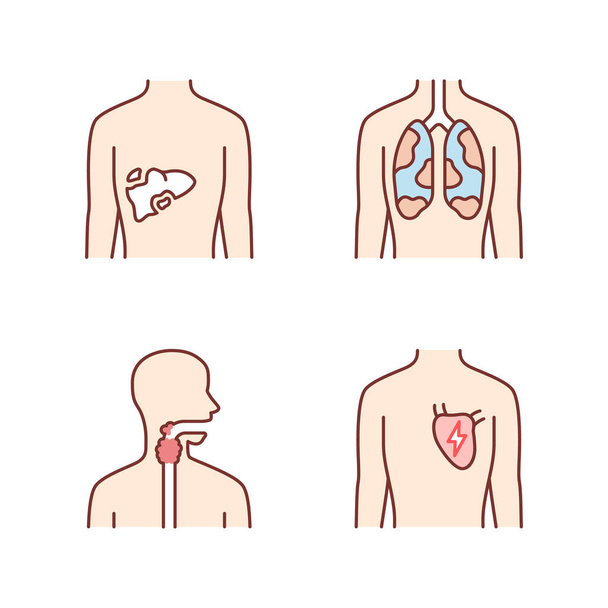Los órganos humanos colorean los iconos. Dolor de hígado y pulmones. Aching t
 - Vector, Imagen