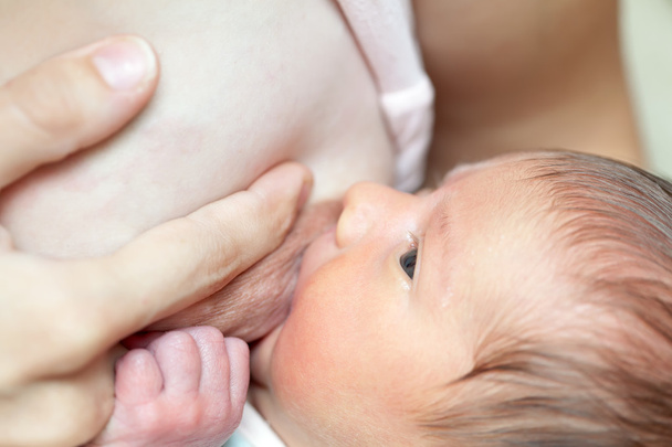 Nursing newborn baby - Фото, зображення