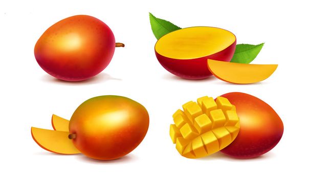 Mango bütün ve dilimlenmiş gerçekçi vektör - Vektör, Görsel