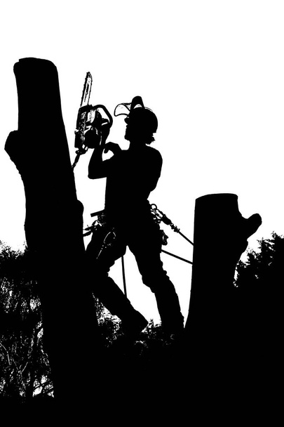 Silhouette of a Arborist at work - Vector, Image