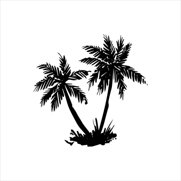 Vektoros kézzel rajzolt illusztrációja trópusi pálmafa - Vektor, kép