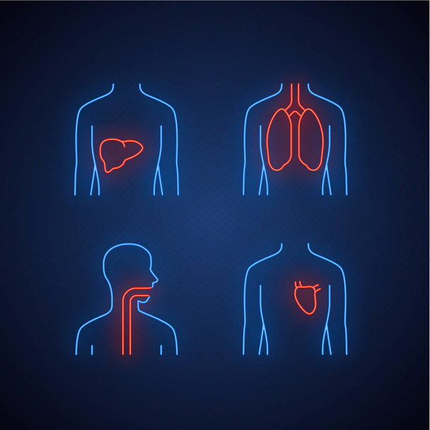 Sani organi umani al neon icone luminose impostate. Fegato e polmoni in movimento
 - Vettoriali, immagini
