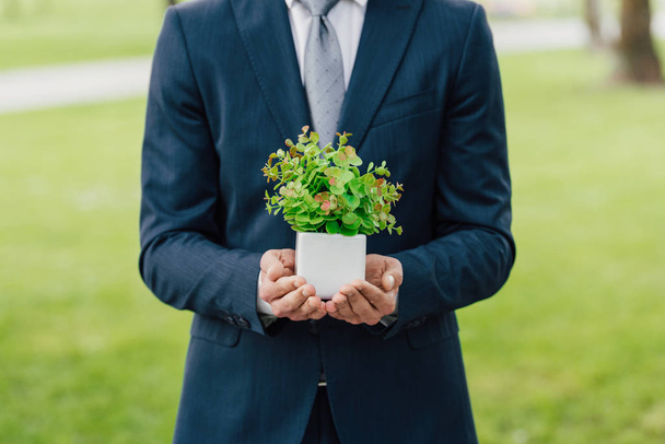 vue recadrée de jeune homme d'affaires avec plante en pot de fleurs debout dans le parc
 - Photo, image