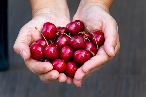 Two hands offering fresh cherries to taste - Photo, Image