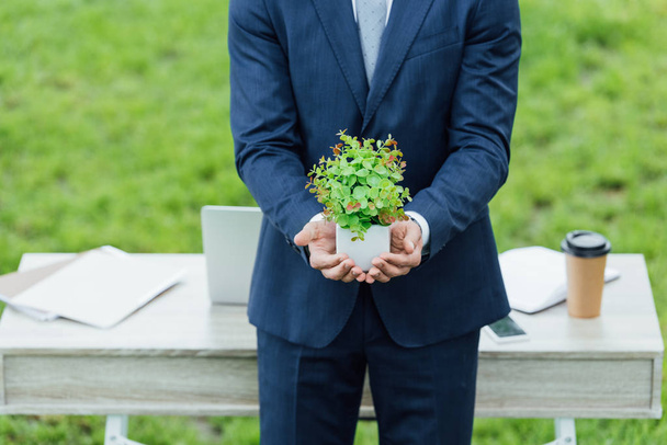 bijgesneden uitzicht van zakenman Holding witte pot met plant in de buurt van tafel in Park  - Foto, afbeelding