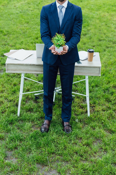 cropped view of young businessman presenting white flowerpot with plant while standing near white table in park - Foto, immagini