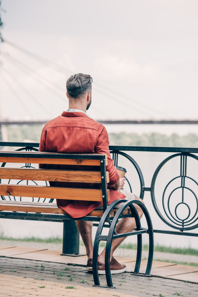 back view of man in red shirt sitting on bench and looking away - Фото, зображення