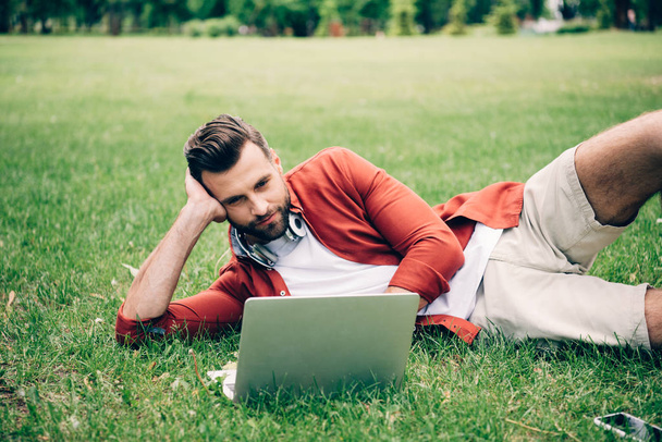 young man lying on grass in park and using laptop - 写真・画像