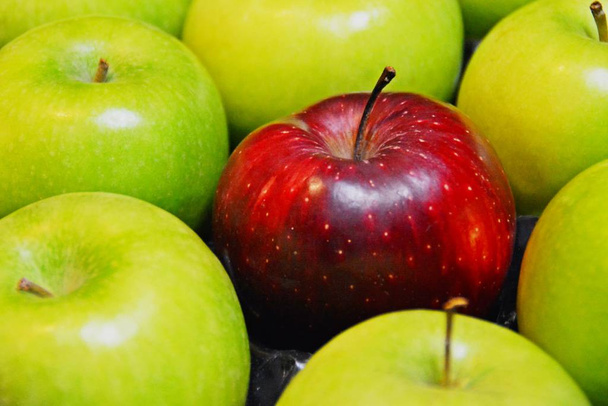 pommes vertes avec une rouge
  - Photo, image