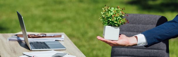 panoramic shot of man holding flowerpot with plant standing in park near table with laptop  - Photo, Image