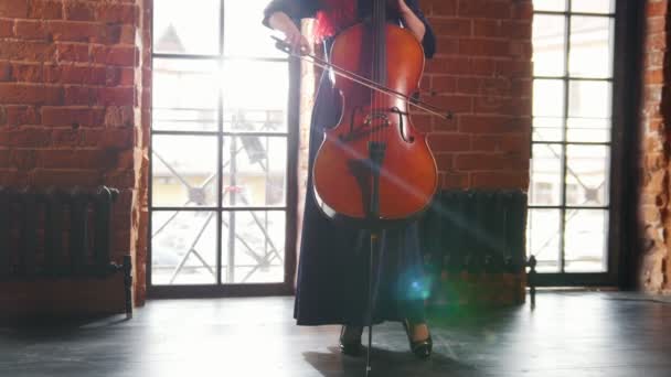 Frau spielt Cello gegen Fenster. - Filmmaterial, Video