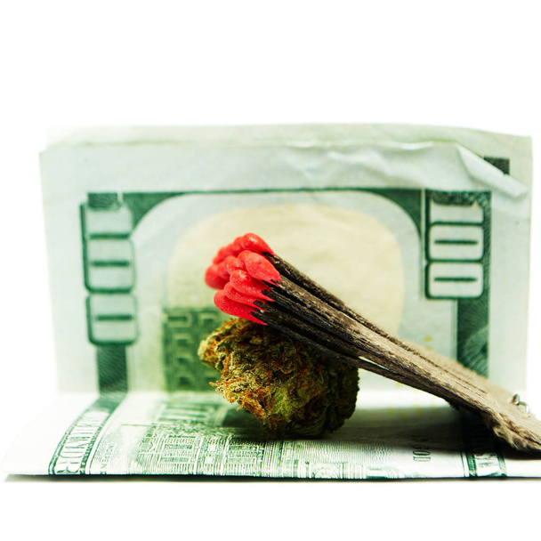 Marijuana and Money - Photo, Image