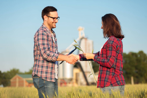 Des jeunes agriculteurs ou agronomes souriants et heureux serrent la main dans un champ de blé. Inspection des cultures avant la récolte
 - Photo, image