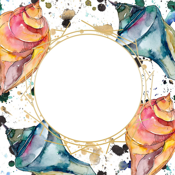 Summer beach seashell tropical underwater elements. Watercolor background illustration set. Watercolour drawing fashion aquarelle isolated. Frame border crystal ornament square. - Фото, зображення