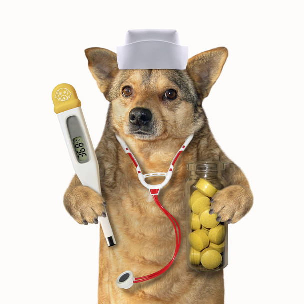 Dog Doc mit medizinischen Instrumenten 2 - Foto, Bild