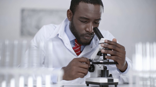 attentiive african american scientist making analyzing with microscope in laboratory - Πλάνα, βίντεο