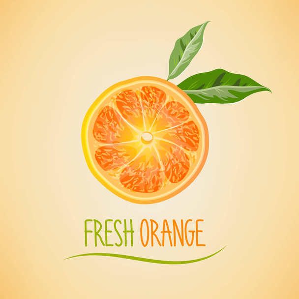 orange slice on beige background - Vektor, Bild
