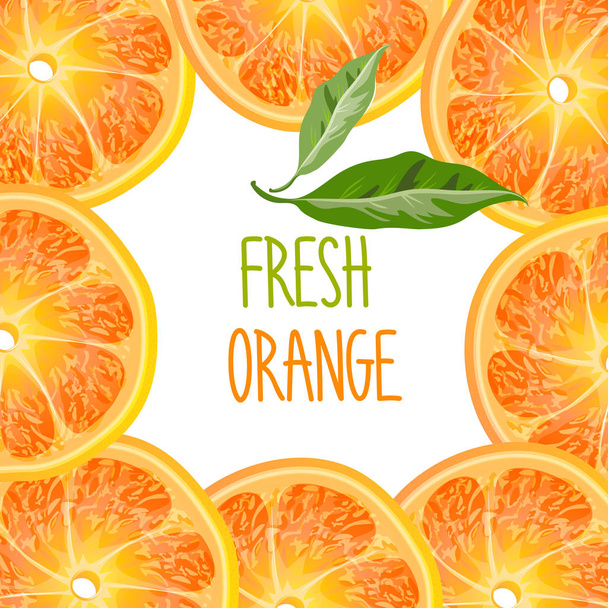 orange slices isolated on white background - Vektor, Bild