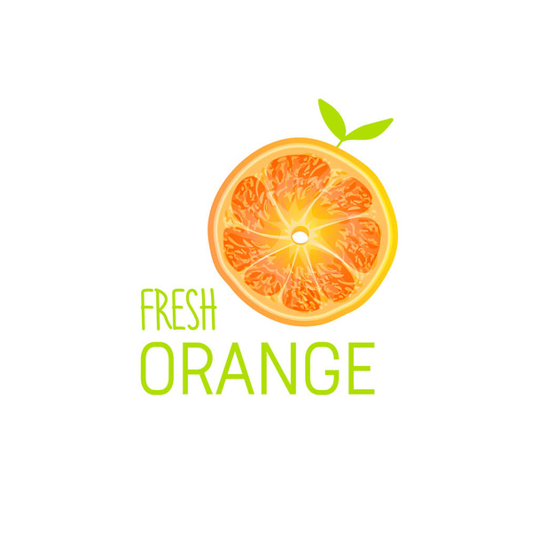 orange slice isolated on white background - Wektor, obraz