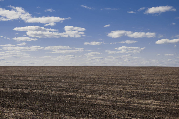 Plowed field in spring time with blue sky. - Photo, Image