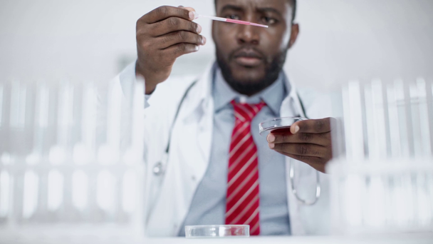 laboratuvarda araştırma yaparken damlalık ve petri kapları kullanarak zayıflatıcı afro-amerikan bilim adamı - Video, Çekim