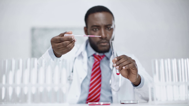 doctor afroamericano enfocado agregando líquido rojo en el tubo de ensayo mientras que hace análisis en laboratorio
 - Imágenes, Vídeo