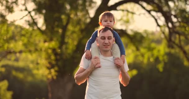 Apa kezében a kis boldog mosolygó aranyos fia játszik együtt a természetben vidéken POV shot gondtalan család élvezi hétvégi pihenés, amelyek jó idő kültéri nagy látószögű - Felvétel, videó