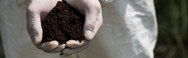 panoramic shot of ecologist in latex gloves holding handful of soil - Photo, Image