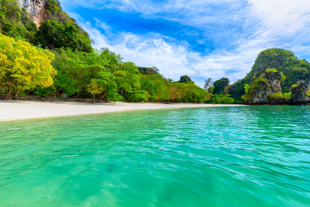 Hong Islands,Beautiful tropical sandy beach and lush green foliage on a tropical island ,Thailand - 写真・画像