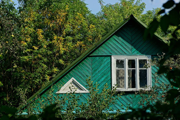 Zielony Loft wiejskiego drewnianego domu z oknem wśród roślinności - Zdjęcie, obraz
