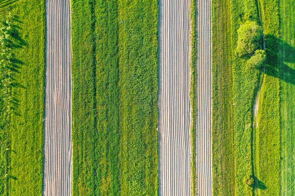 όργωμα αυλάκια γης για φύτευση αγρονομικών φυτών μεταξύ της υπαίθρου της χλόης και λιβάδια δέντρα, εναέρια θέα από ψηλά. - Φωτογραφία, εικόνα