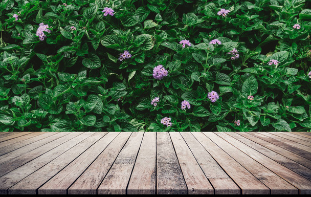 tablones de madera en el suelo y hojas verdes crecientes en el arbusto con flores de fondo
 - Foto, imagen