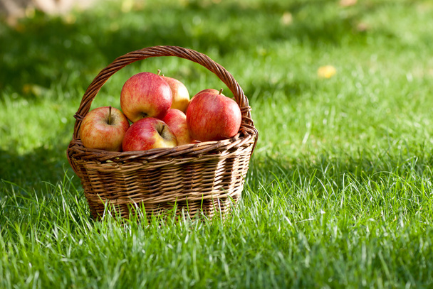 apples - Фото, изображение