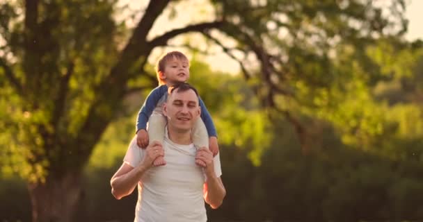 Sevgi dolu baba yavaş hareket yavaş hareket yaz aylarında bir çayırda gün batımında boyun oturan çocuk ile yürürken gülümsüyor - Video, Çekim